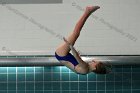 Women's Diving  Wheaton College Women’s Diving vs Mount Holyoke College. - Photo by Keith Nordstrom : Wheaton, Swimming & Diving